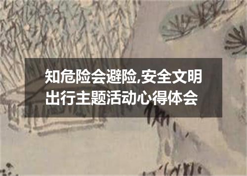 知危险会避险,安全文明出行主题活动心得体会