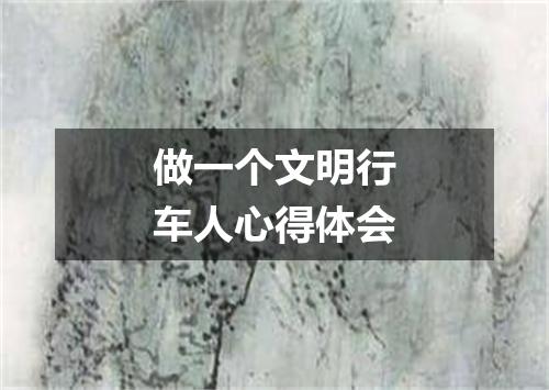 做一个文明行车人心得体会