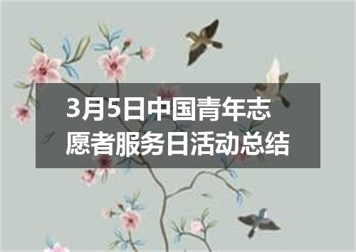 3月5日中国青年志愿者服务日活动总结