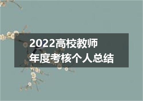 2022高校教师年度考核个人总结
