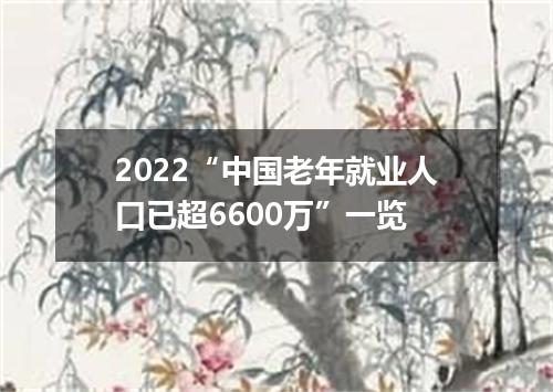 2022“中国老年就业人口已超6600万”一览