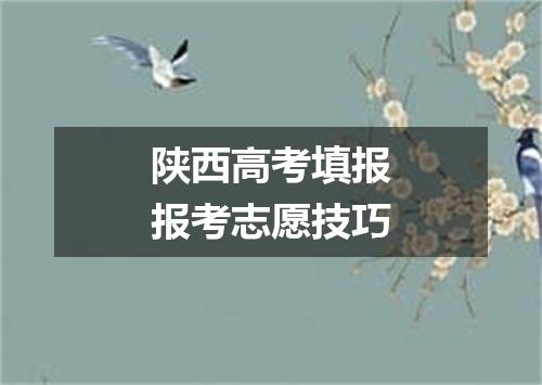 陕西高考填报报考志愿技巧