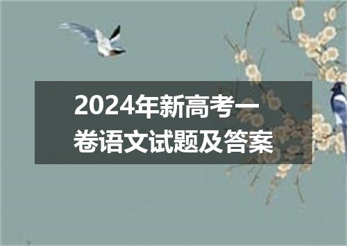 2024年新高考一卷语文试题及答案