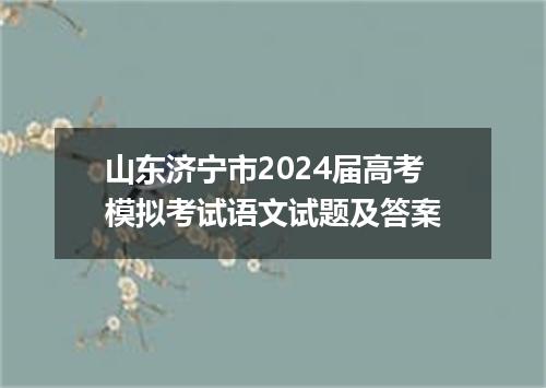 山东济宁市2024届高考模拟考试语文试题及答案