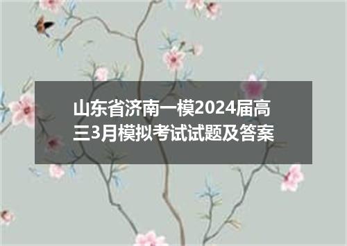 山东省济南一模2024届高三3月模拟考试试题及答案