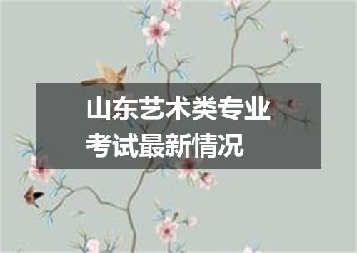 山东艺术类专业考试最新情况