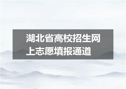 湖北省高校招生网上志愿填报通道