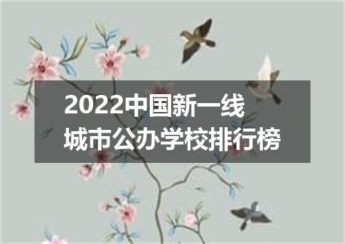 2022中国新一线城市公办学校排行榜