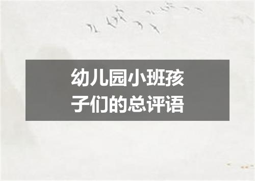 幼儿园小班孩子们的总评语