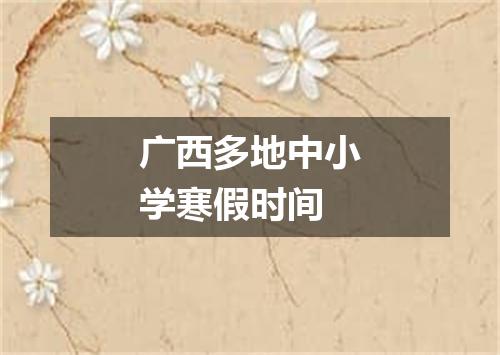 广西多地中小学寒假时间