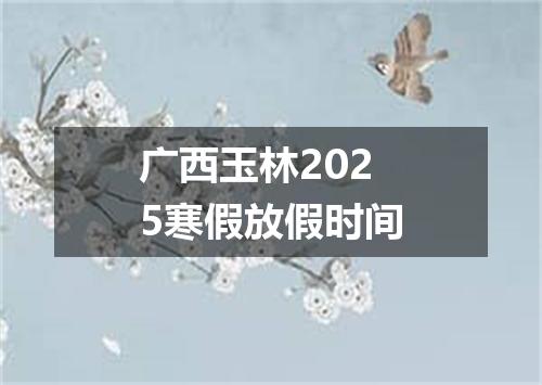 广西玉林2025寒假放假时间