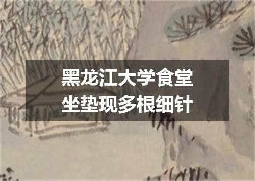 黑龙江大学食堂坐垫现多根细针