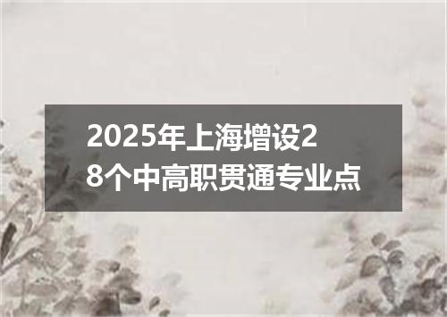 2025年上海增设28个中高职贯通专业点