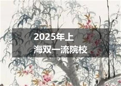 2025年上海双一流院校