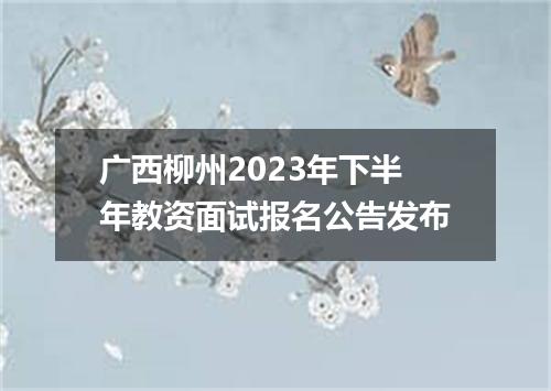 广西柳州2023年下半年教资面试报名公告发布