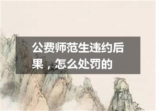 公费师范生违约后果,怎么处罚的