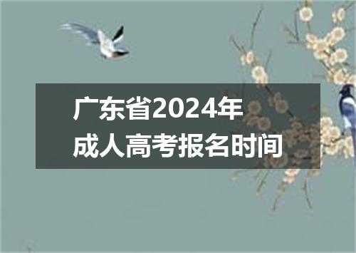 广东省2024年成人高考报名时间