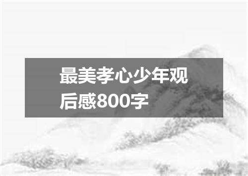 最美孝心少年观后感800字