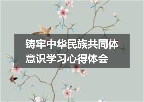 铸牢中华民族共同体意识学习心得体会