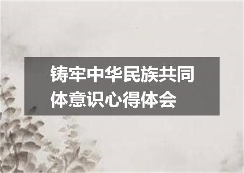 铸牢中华民族共同体意识心得体会