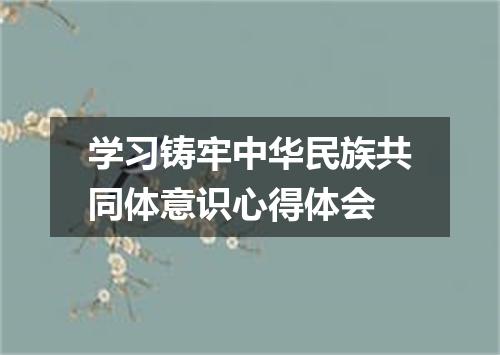 学习铸牢中华民族共同体意识心得体会