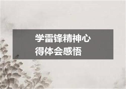 学雷锋精神心得体会感悟