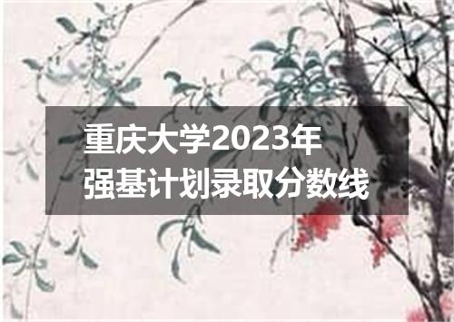 重庆大学2023年强基计划录取分数线