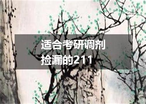 适合考研调剂捡漏的211