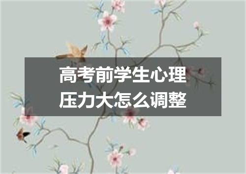 高考前学生心理压力大怎么调整