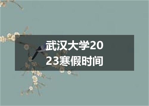 武汉大学2023寒假时间