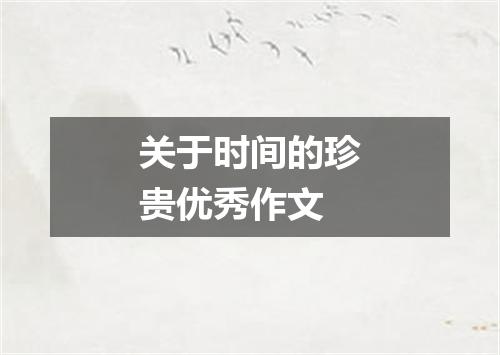 关于时间的珍贵优秀作文