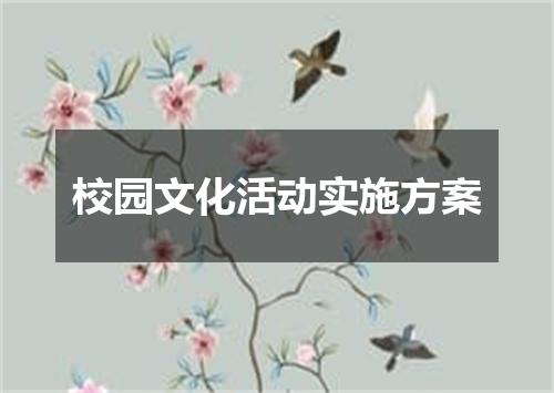 校园文化活动实施方案