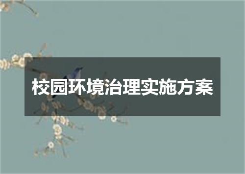 校园环境治理实施方案