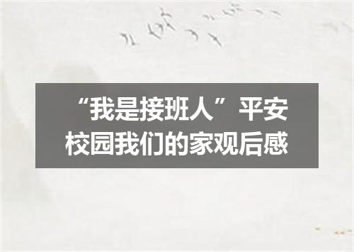 “我是接班人”平安校园我们的家观后感