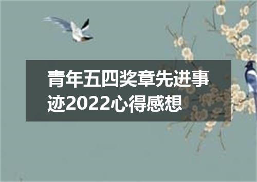 青年五四奖章先进事迹2022心得感想