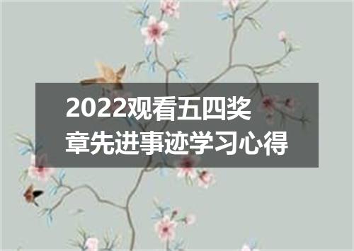 2022观看五四奖章先进事迹学习心得
