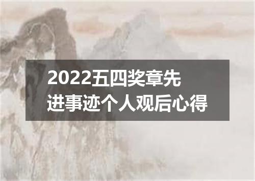 2022五四奖章先进事迹个人观后心得