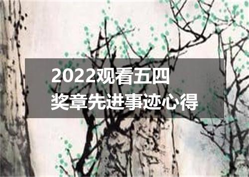 2022观看五四奖章先进事迹心得