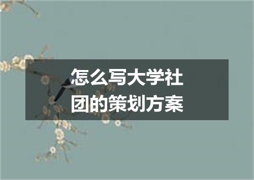 怎么写大学社团的策划方案