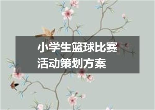 小学生篮球比赛活动策划方案