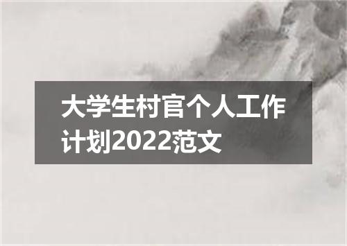大学生村官个人工作计划2022范文