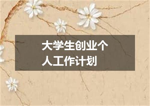 大学生创业个人工作计划