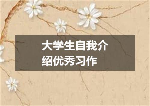 大学生自我介绍优秀习作