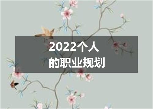 2022个人的职业规划