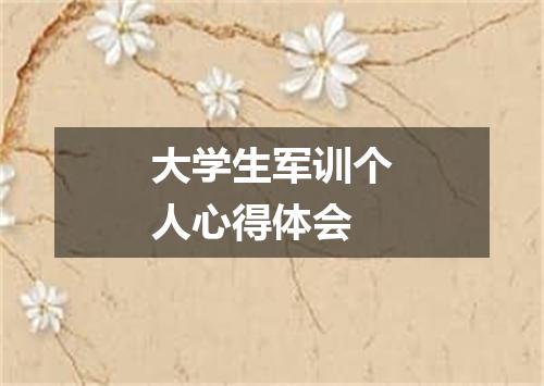 大学生军训个人心得体会