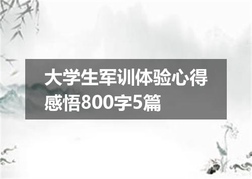 大学生军训体验心得感悟800字5篇
