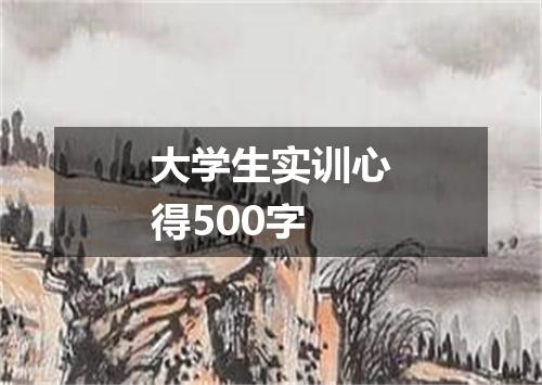 大学生实训心得500字