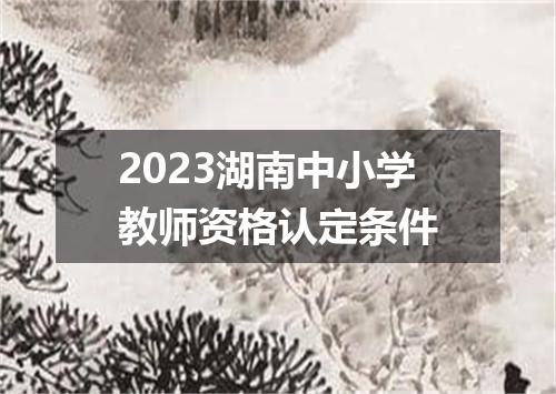 2023湖南中小学教师资格认定条件