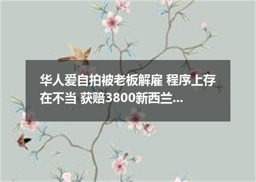 华人爱自拍被老板解雇 程序上存在不当 获赔3800新西兰元