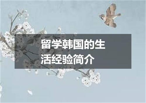 留学韩国的生活经验简介